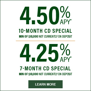 4.50% 17 month cd rate