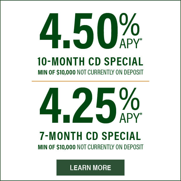 17-month cd special