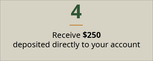 Receive $250 deposited to your account