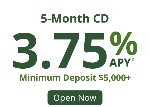 3.75% APY CD 5-month offer