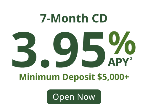 3.95% 7-month CD special offer