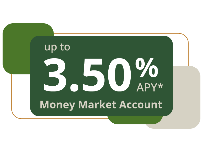 money market account up to 3.50% special